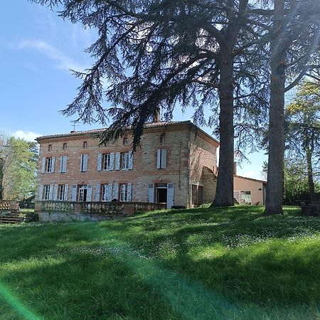 Le Jardin Des Cedres Hotell Lavaur  Exteriör bild