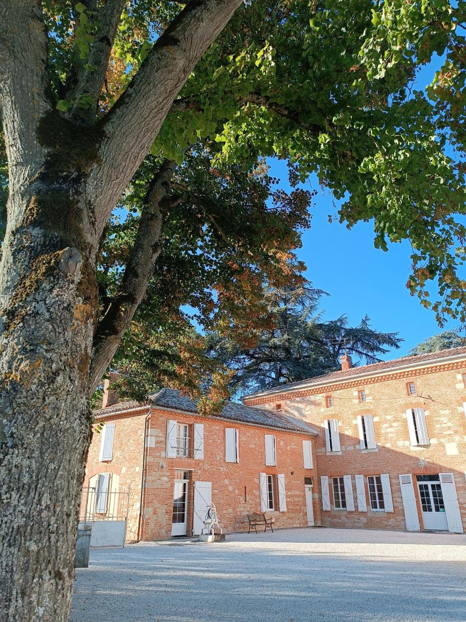 Le Jardin Des Cedres Hotell Lavaur  Exteriör bild