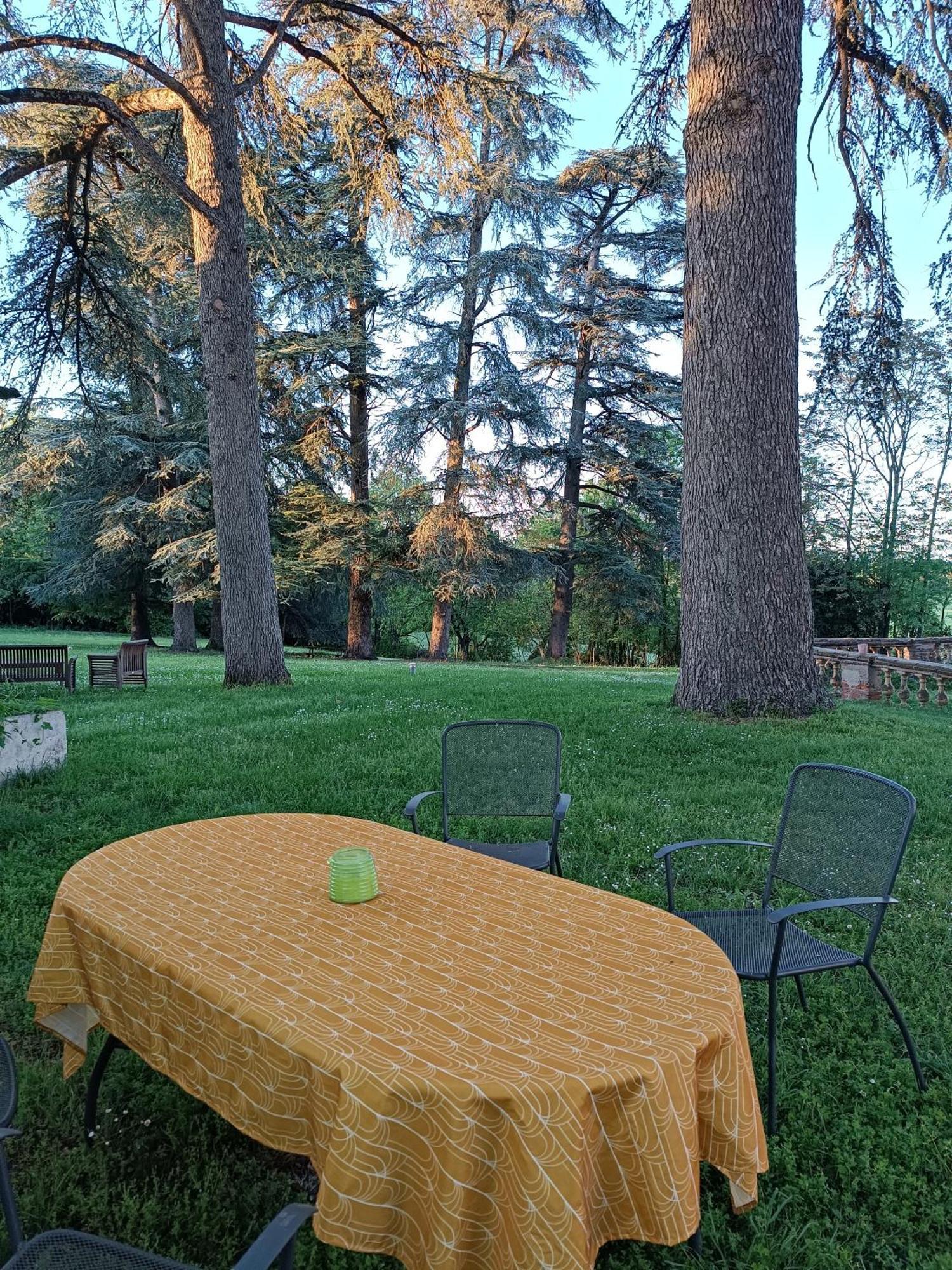 Le Jardin Des Cedres Hotell Lavaur  Exteriör bild