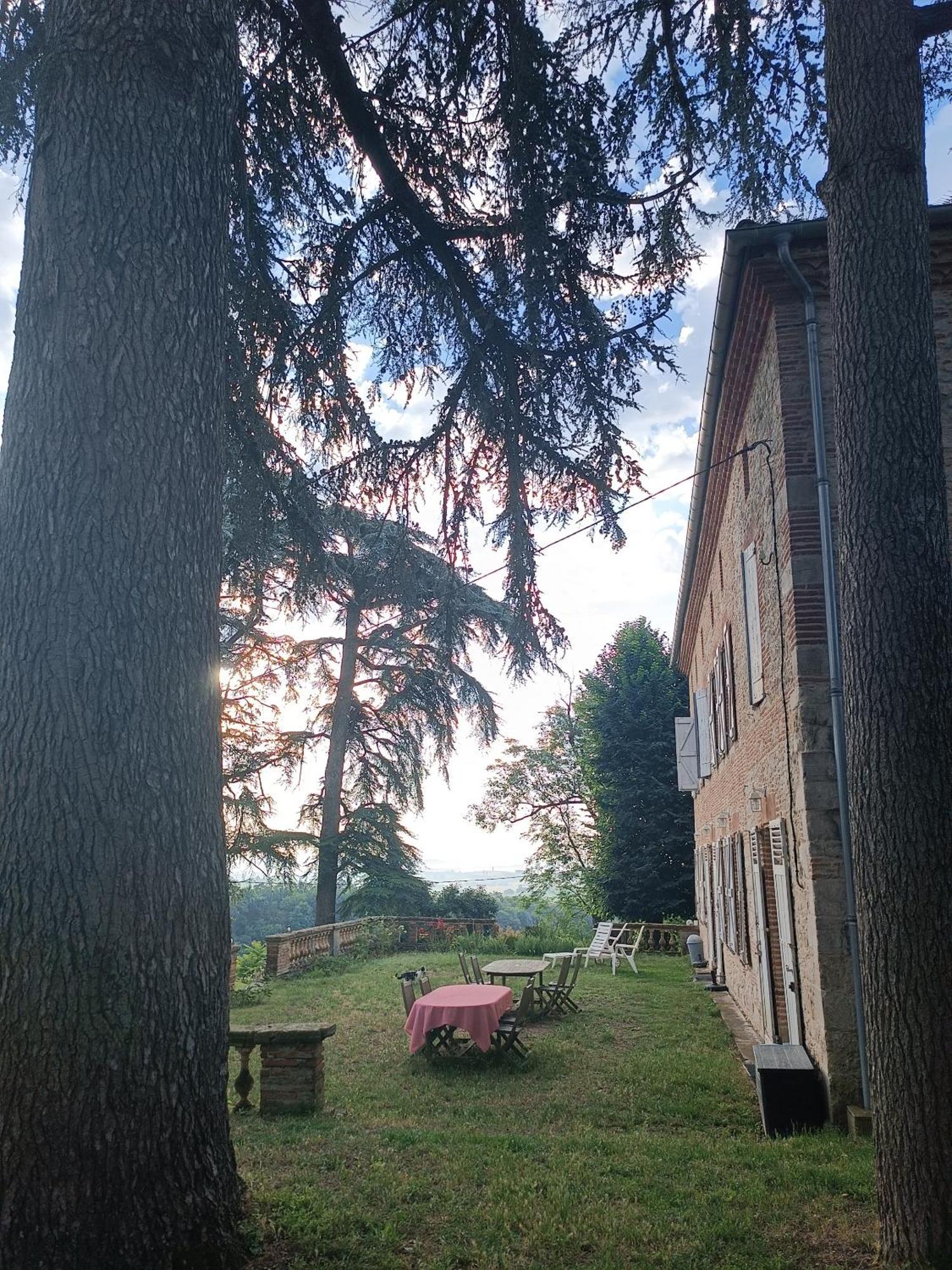 Le Jardin Des Cedres Hotell Lavaur  Exteriör bild