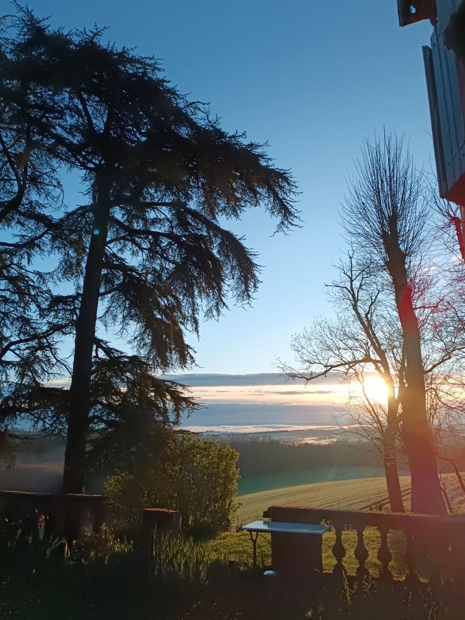 Le Jardin Des Cedres Hotell Lavaur  Exteriör bild